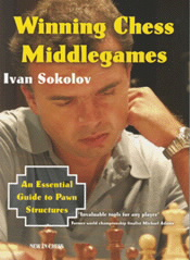 Winning Chess Middlegames